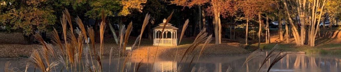 cropped-DKHOA-Fall-2.jpg